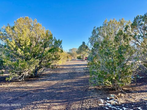 Tiny photo for 8320 Pinon Drive, Show Low, AZ 85901 (MLS # 259506)
