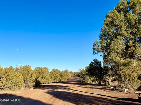 Tiny photo for 8320 Pinon Drive, Show Low, AZ 85901 (MLS # 259506)