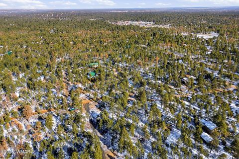 Tiny photo for 2074 Lone Mountain Road, Overgaard, AZ 85933 (MLS # 259119)