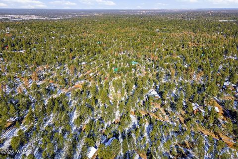 Tiny photo for 2074 Lone Mountain Road, Overgaard, AZ 85933 (MLS # 259119)