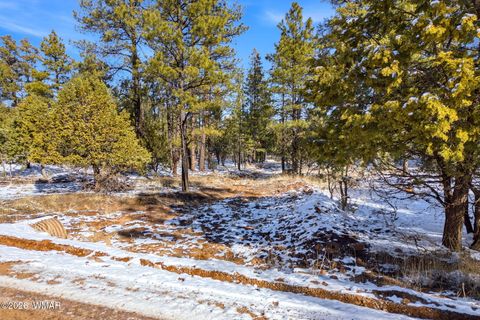 Tiny photo for 2074 Lone Mountain Road, Overgaard, AZ 85933 (MLS # 259119)