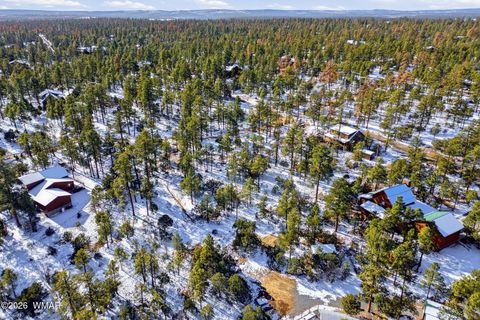 Tiny photo for 2074 Lone Mountain Road, Overgaard, AZ 85933 (MLS # 259119)