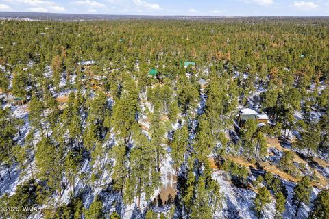 Tiny photo for 2074 Lone Mountain Road, Overgaard, AZ 85933 (MLS # 259119)