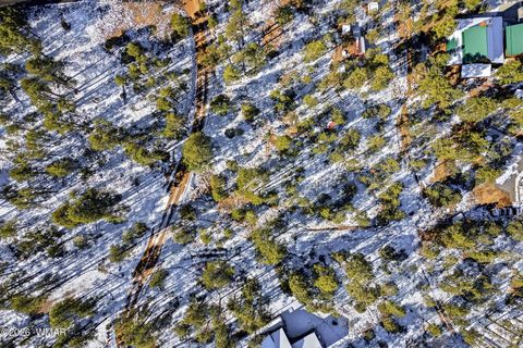 Tiny photo for 2074 Lone Mountain Road, Overgaard, AZ 85933 (MLS # 259119)