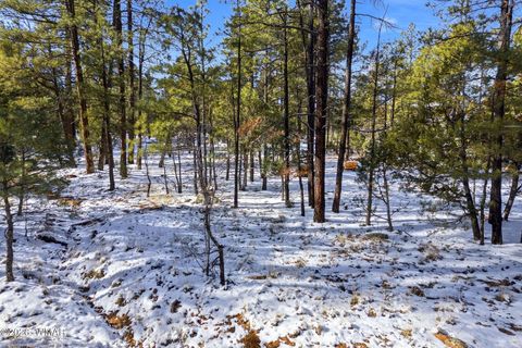 Tiny photo for 2074 Lone Mountain Road, Overgaard, AZ 85933 (MLS # 259119)