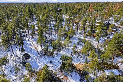 Tiny photo for 2074 Lone Mountain Road, Overgaard, AZ 85933 (MLS # 259119)