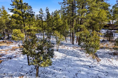 Tiny photo for 2074 Lone Mountain Road, Overgaard, AZ 85933 (MLS # 259119)