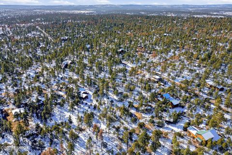 Tiny photo for 2074 Lone Mountain Road, Overgaard, AZ 85933 (MLS # 259119)