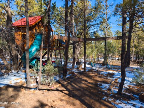 Tiny photo for 2074 Lone Mountain Road, Overgaard, AZ 85933 (MLS # 259119)