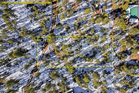 Tiny photo for 2074 Lone Mountain Road, Overgaard, AZ 85933 (MLS # 259119)