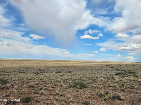 Tiny photo for TBD Rancho, Holbrook, AZ 86025 (MLS # 241631)