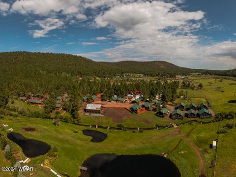 Tiny photo for 44 N Main Street #161, Greer, AZ 85927 (MLS # 255292)