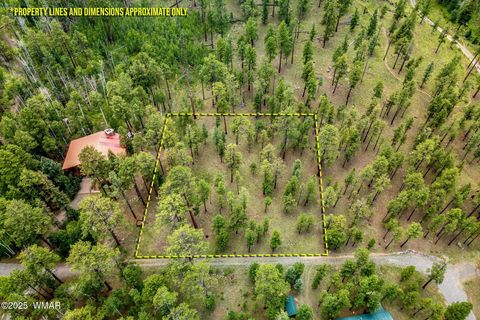 Tiny photo for 16 N1062, Greer, AZ 85927 (MLS # 260367)