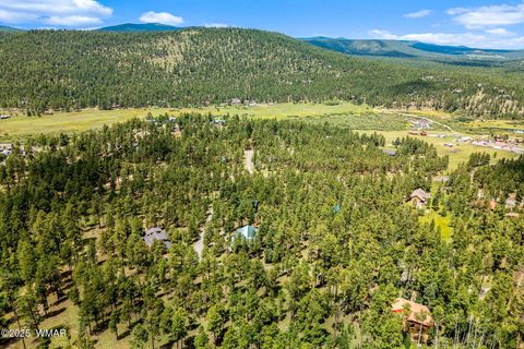 Tiny photo for 16 N1062, Greer, AZ 85927 (MLS # 260367)