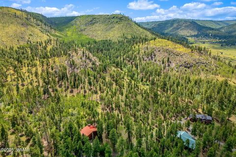 Tiny photo for 16 N1062, Greer, AZ 85927 (MLS # 260367)