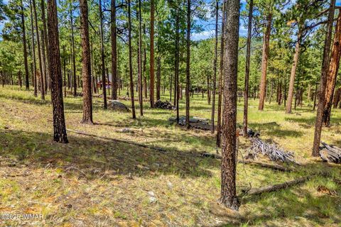 Tiny photo for 16 N1062, Greer, AZ 85927 (MLS # 260367)