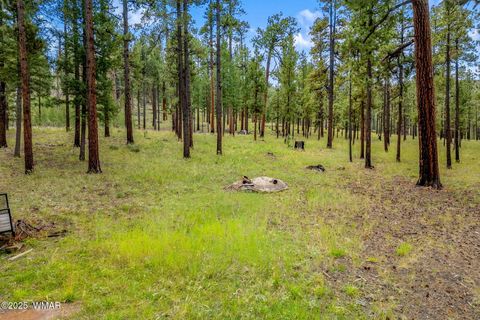 Photo of 16 N1062, Greer, AZ 85927 (MLS # 260367)