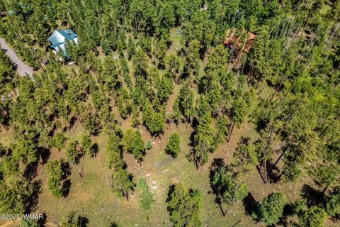 Tiny photo for 16 N1062, Greer, AZ 85927 (MLS # 260367)