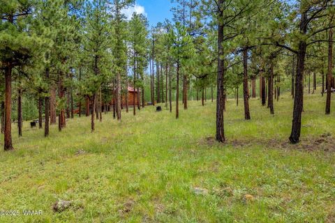 Tiny photo for 16 N1062, Greer, AZ 85927 (MLS # 260367)