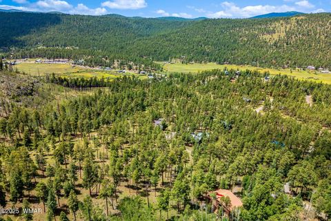 Tiny photo for 16 N1062, Greer, AZ 85927 (MLS # 260367)