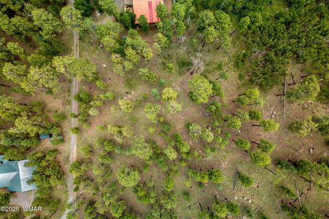 Tiny photo for 16 N1062, Greer, AZ 85927 (MLS # 260367)