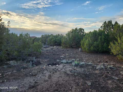 Tiny photo for 8761 Lance Drive, Show Low, AZ 85901 (MLS # 261904)