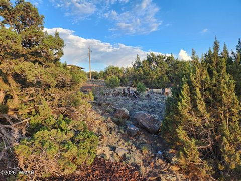 Tiny photo for 8761 Lance Drive, Show Low, AZ 85901 (MLS # 261904)