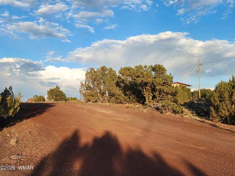 Tiny photo for 8761 Lance Drive, Show Low, AZ 85901 (MLS # 261904)