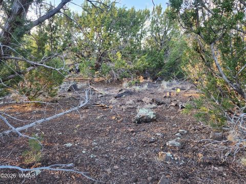 Tiny photo for 8761 Lance Drive, Show Low, AZ 85901 (MLS # 261904)