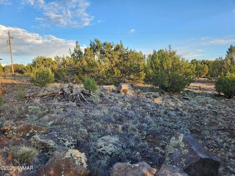 Tiny photo for 8761 Lance Drive, Show Low, AZ 85901 (MLS # 261904)