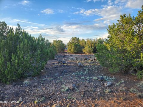 Tiny photo for 8761 Lance Drive, Show Low, AZ 85901 (MLS # 261904)