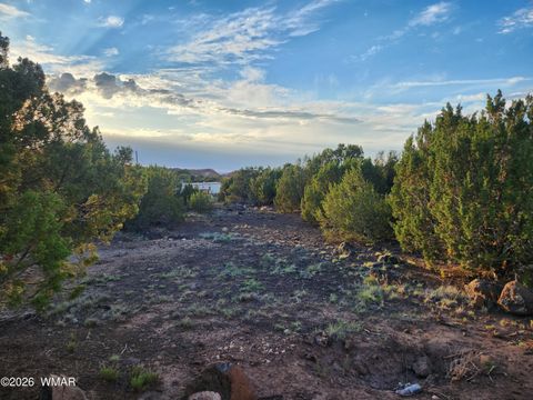 Tiny photo for 8761 Lance Drive, Show Low, AZ 85901 (MLS # 261904)