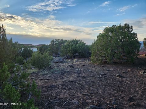 Tiny photo for 8761 Lance Drive, Show Low, AZ 85901 (MLS # 261904)