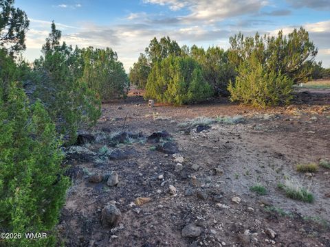 Tiny photo for 8761 Lance Drive, Show Low, AZ 85901 (MLS # 261904)