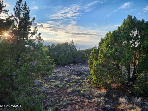 Tiny photo for 8761 Lance Drive, Show Low, AZ 85901 (MLS # 261904)