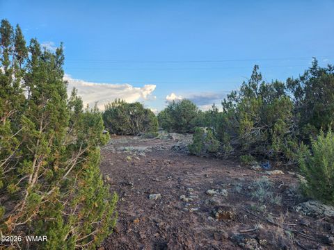 Tiny photo for 8761 Lance Drive, Show Low, AZ 85901 (MLS # 261904)