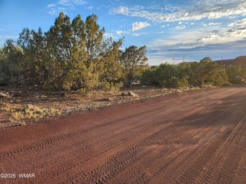Photo of 8761 Lance Drive, Show Low, AZ 85901 (MLS # 261904)
