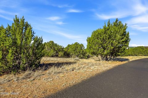 Tiny photo for 8379 Lake View Drive, Show Low, AZ 85901 (MLS # 259951)