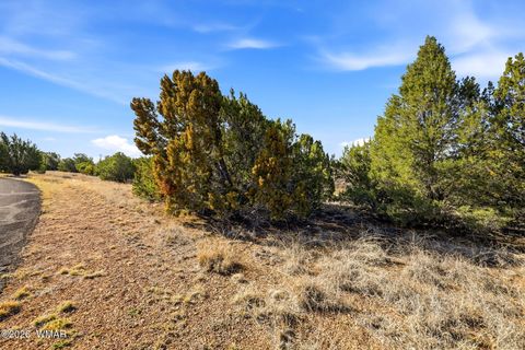 Tiny photo for 8379 Lake View Drive, Show Low, AZ 85901 (MLS # 259951)