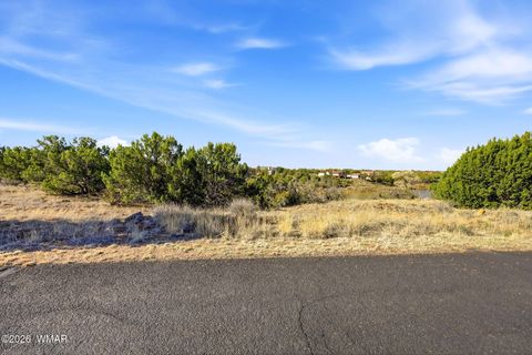 Tiny photo for 8379 Lake View Drive, Show Low, AZ 85901 (MLS # 259951)