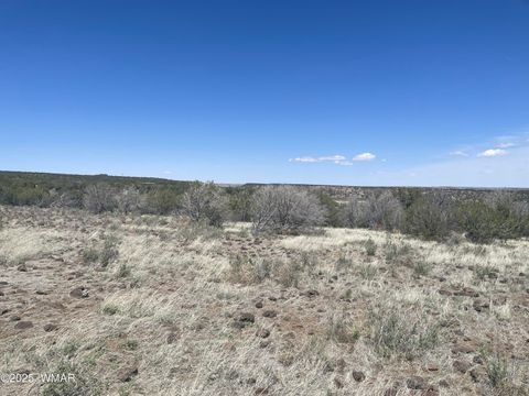 Photo of 7636 Hamline Drive, White Mountain Lake, AZ 85912 (MLS # 257242)
