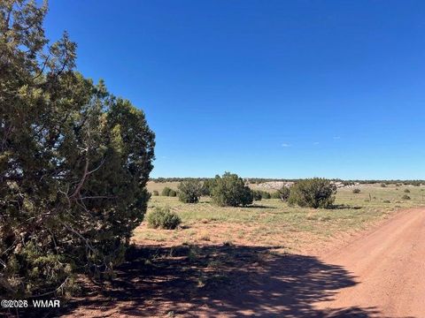 Tiny photo for 004 N9027, Concho, AZ 85924 (MLS # 259174)
