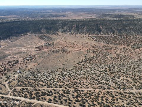 Tiny photo for TBD Stirrup Road, Snowflake, AZ 85937 (MLS # 258962)