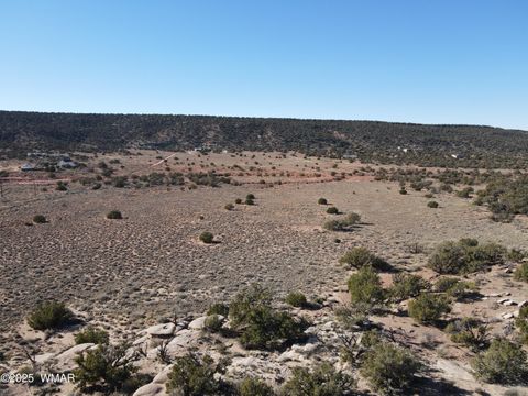 Tiny photo for TBD Stirrup Road, Snowflake, AZ 85937 (MLS # 258962)