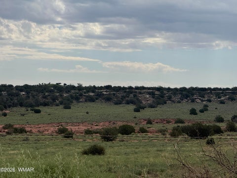 Tiny photo for TBD Stirrup Road, Snowflake, AZ 85937 (MLS # 258962)