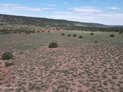 Tiny photo for TBD Stirrup Road, Snowflake, AZ 85937 (MLS # 258962)