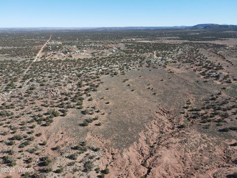 Tiny photo for TBD Stirrup Road, Snowflake, AZ 85937 (MLS # 258962)