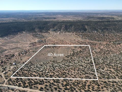 Photo of TBD Stirrup Road, Snowflake, AZ 85937 (MLS # 258962)