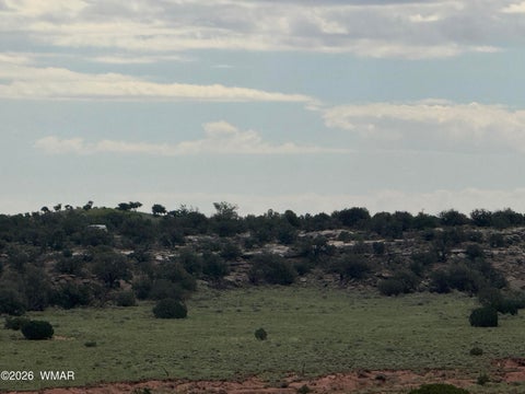 Tiny photo for TBD Stirrup Road, Snowflake, AZ 85937 (MLS # 258962)