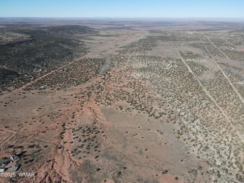 Tiny photo for TBD Stirrup Road, Snowflake, AZ 85937 (MLS # 258962)